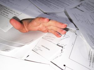 westport living trust attorneys