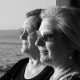 probate attorneys