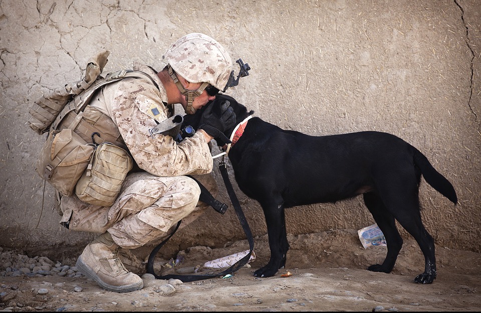 veterans special pension