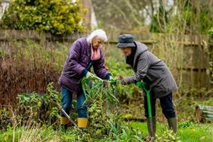 Medicaid planning 999