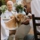 nursing home asset protection