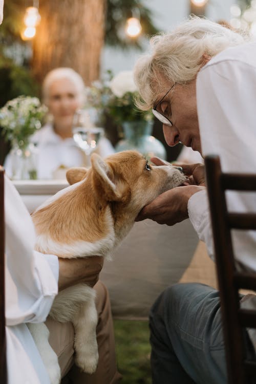nursing home asset protection