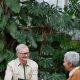 estate planning