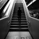 stepped-up basis