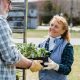 estate planning