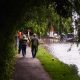 estate planning missteps