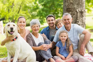 Estate Planning for Your Pets